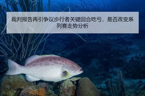 裁判报告再引争议步行者关键回合吃亏，是否改变系列赛走势分析